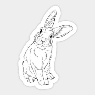 Headtilt Kaninchen Sticker